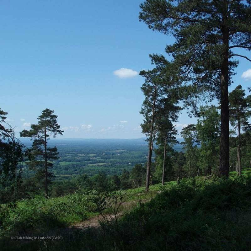 Leith Hill - Saturday