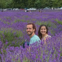 Lavender Fields walk - Woodmansterne - Sunday, 07 Jul 2024