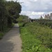 Beginners Walk - Wandle Trail from Colliers Wood