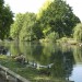 Beginners Walk - Wandle Trail from Colliers Wood