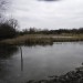 Dagenham Parks, Rivers and Ponds walk - Sunday