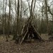 Sunday Walk - Epping Forest Introductory Hike for Beginners