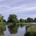 Hampton Court and Bushy Park walk