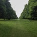 Hampton Court and Bushy Park walk