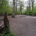 Highgate Wood and Queen's Wood walk - Monday 