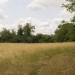 Lavender Fields walk - Woodmansterne