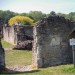 Lesnes Abbey Woods with Bostall Woods walk 