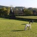Lullingstone Park, Darent Valley Path and Eynsford Castle - Saturday