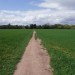 Osterley Park walk - Sunday
