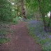 Osterley Park walk - Sunday