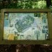 Petts Wood Wandering: Day Hike Spectacular - Sunday 