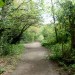 Petts Wood Wandering: Day Hike Spectacular - Sunday 