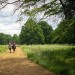 Richmond & Wimbledon Park - Family walk - Sunday