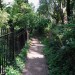 Sydenham Hill to Dulwich Village walk - Monday 