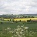The Ridgeway, lovely views and the Chilterns